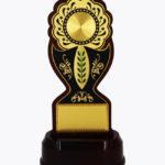 Economy Laser Awards, WL4529
