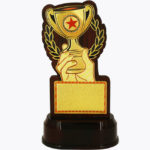 Economy Laser Awards, WL4530