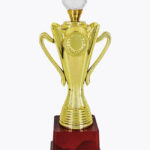 Diamond Riser Award, CP1511