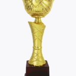 Economy Cup, CP1514