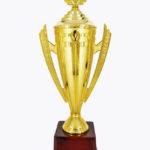 Economy Cup, CP1527 K