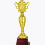 Economy Cup, CP1535