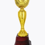 Economy Cup, CP1536