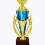 Economy Cup, CP1538