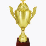 Economy Cup, CP1579 K