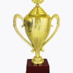Economy Cup, CP1581 K