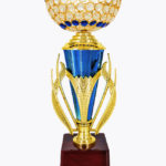Economy Cup, CP1586