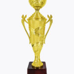 Economy Cup, CP1587