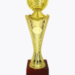 Economy Cup, CP1602