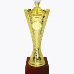 Diamond Riser Award, CP1603