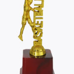 Basketball Trophy, SP 1414