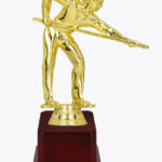 Billiards Trophy, SP 1426