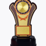 Economy Laser Awards, WL4503
