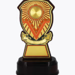 Economy Laser Awards, WL4505