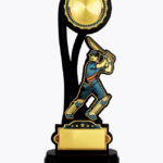 Economy Laser Awards, WL4508