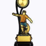 Economy Laser Awards, WL4511
