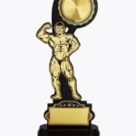 Economy Laser Awards, WL4517