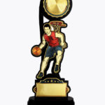 Economy Laser Awards, WL4521