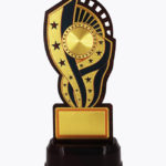 Economy Laser Awards, WL4527