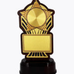 Economy Laser Awards, WL4528