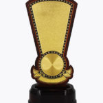 Economy Laser Awards, WL4531