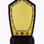 Economy Laser Awards, WL4535