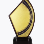 Economy Laser Awards, WL4537