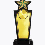 Economy Laser Awards, WL4538