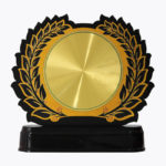 Economy Laser Awards, WL4539