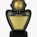 Economy Laser Awards, WL4540