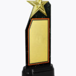 Economy Laser Awards, WL4542