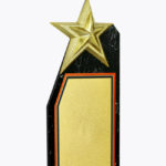 Economy Laser Awards, WL4542 - Image 2