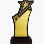 Economy Laser Awards, WL4545